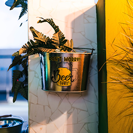 placeholder image-sq